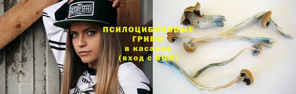 ГАЛЛЮЦИНОГЕННЫЕ ГРИБЫ Богородск