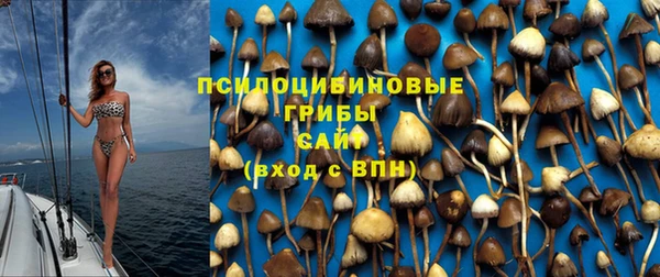 прущие крисы Богданович